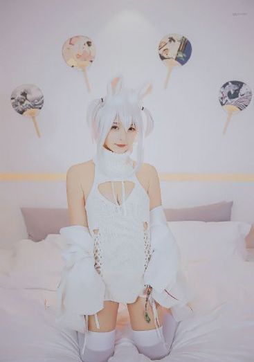 成全视频免费观看在线看_720在线视频观看
